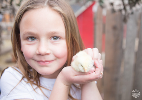  Little Buckaroo Petting Zoo