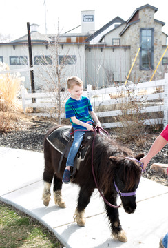 Little Buckaroo Petting Zoo - pony rides at gardner village 