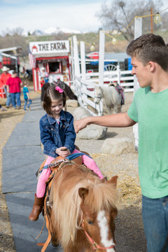 Little Buckaroo Petting Zoo - Animal birthday party ideas 