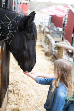 Little Buckaroo Petting Zoo -  slc petting zoo and pony rides 