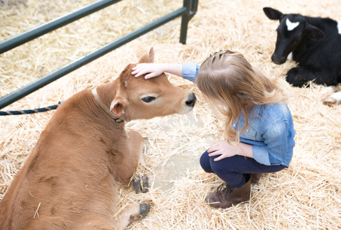  Little Buckaroo Petting Zoo