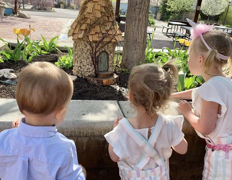 Woodland Fairy Festival  - A Woodland Fairy house  