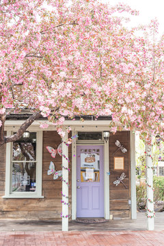 Gardner Village During Spring - spring at gardner village 