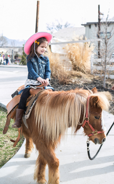 Pony Rides at Ricochet Canyon at Gardner Village - pony rides at gardner village 