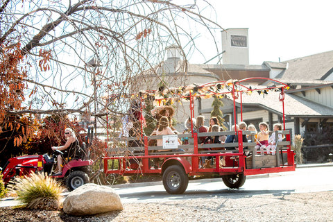 Tractor-Pulled Wagon Rides during WitchFest - tractor pulled wagon rides during WitchFest 