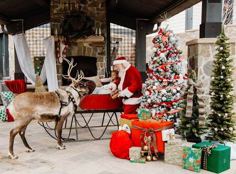  Camera Shy Photography