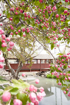 Spring at Gardner Village - bridge during spring at gardner village 