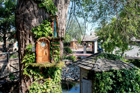 Woodland Fairy Festival - fairy home on the tree 