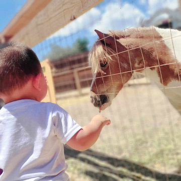 Ricochet Canyon Amusement Park