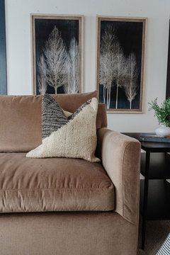 Down to Earth Projects | Eden Residence - light brown velvet sofa with pillow and black wall art 