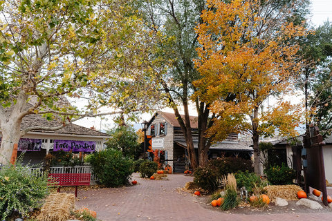 Gardner Village WitchFest - main path photo with face painting 