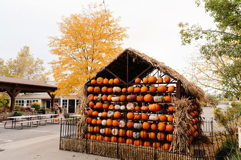 Gardner Village WitchFest - pumpkin house  