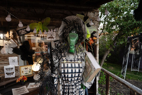 Gardner Village Witch Displays - moth witch display 