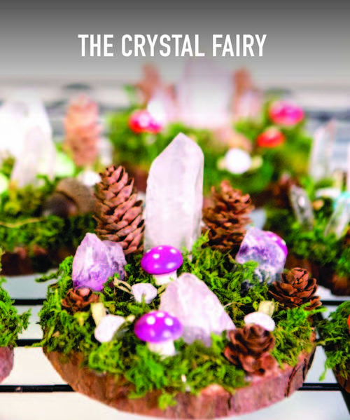  The Crystal Fairy