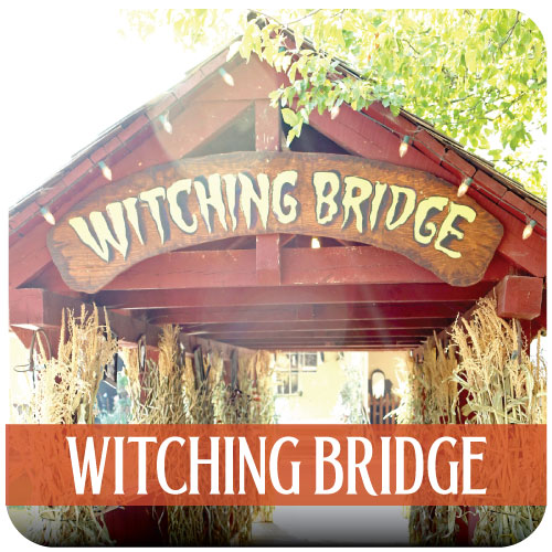 WF witching bridge