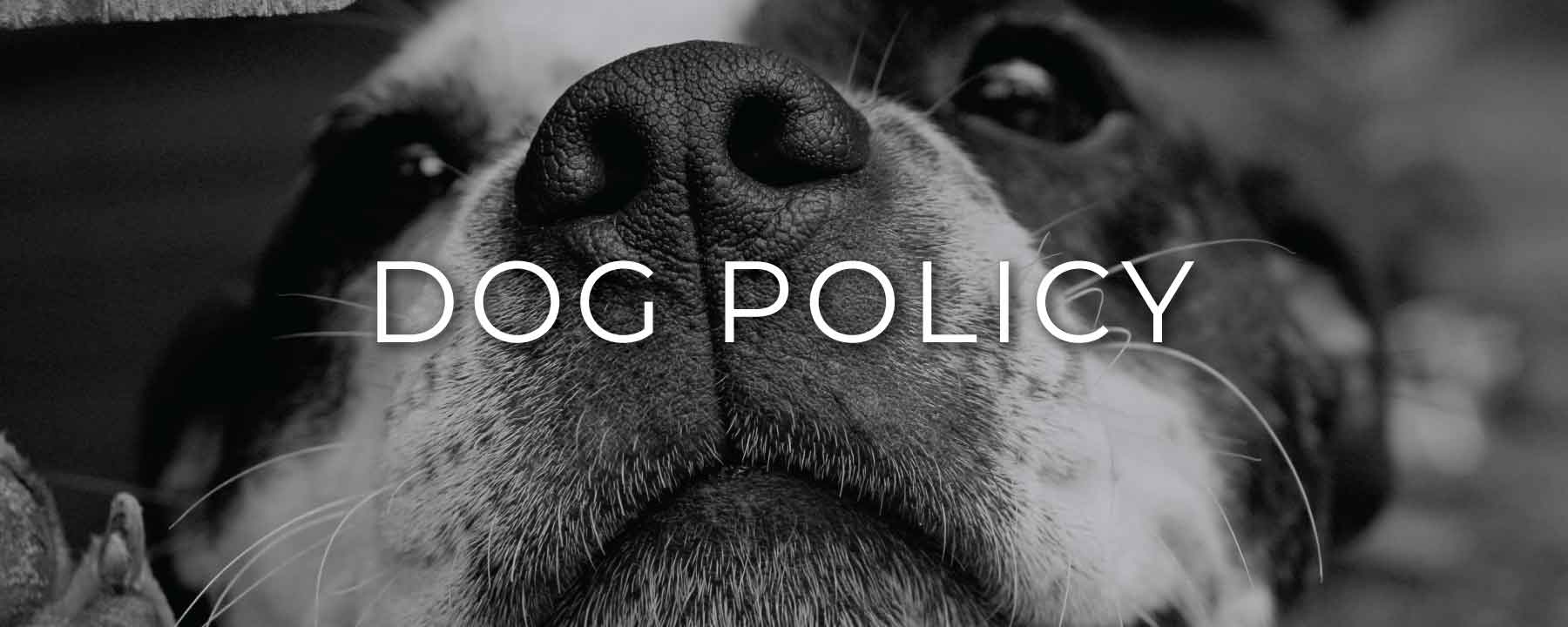 gardner village dog policy gardner village dog policy