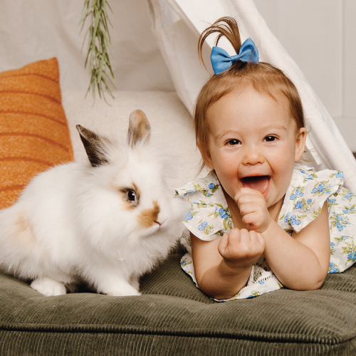 LIVE BUNNY PHOTO SESSIONS <BR>CAMERA SHY