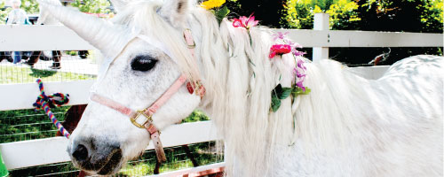PETTING ZOO & UNICORN PONY PETTING ZOO & UNICORN PONY