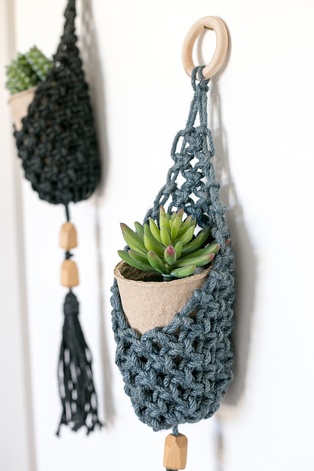 decorating with succulents