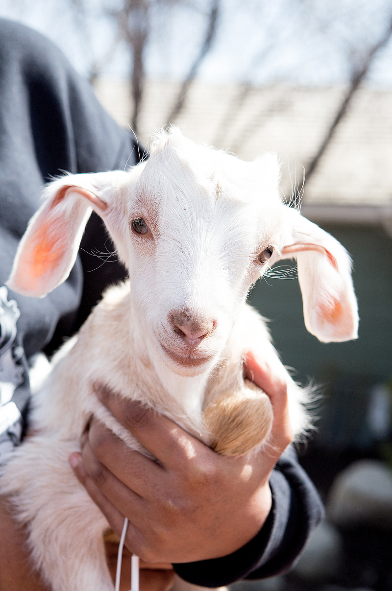 The Farm at Gardner Village