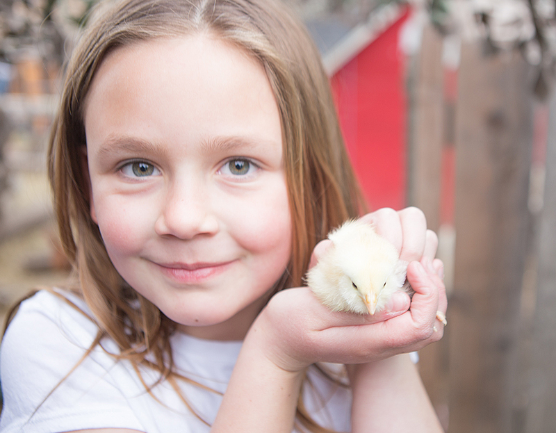 baby animals in utah