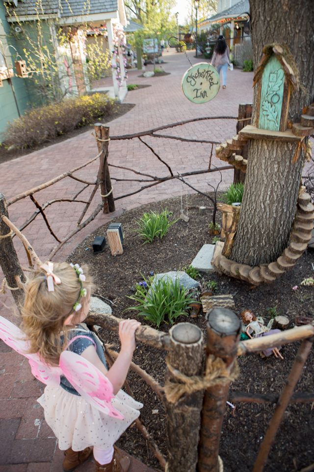 fairy garden