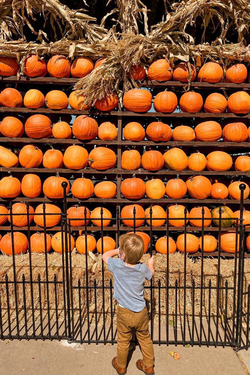 Fun photo ops in West Jordan