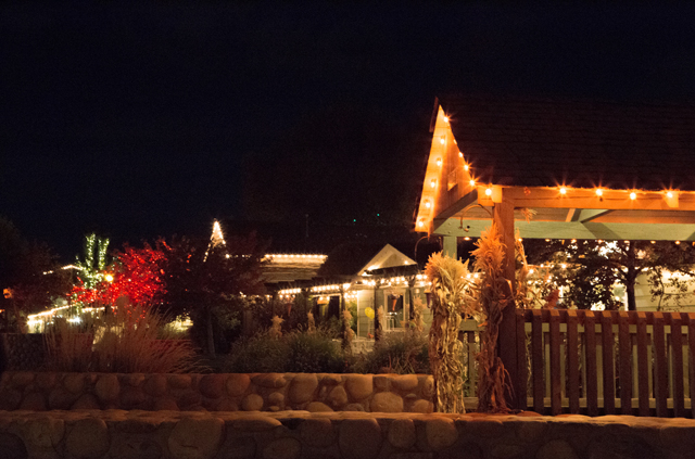 gardner village at night