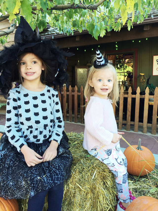 wee witches