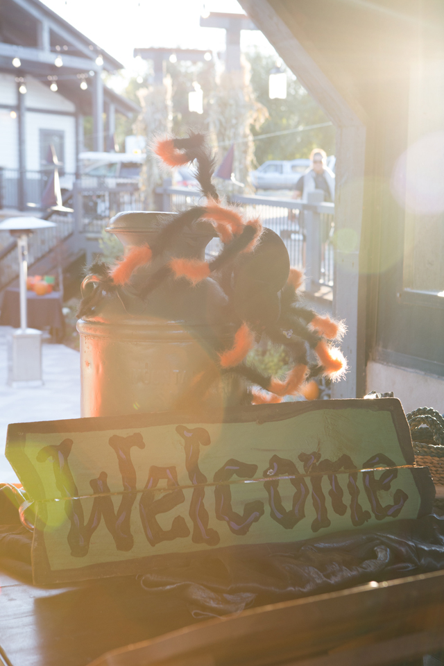 mill plaza at gardner village