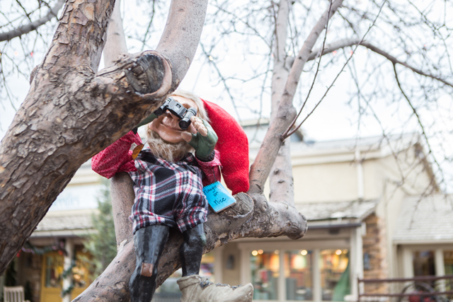 christmas shopping and entertainment