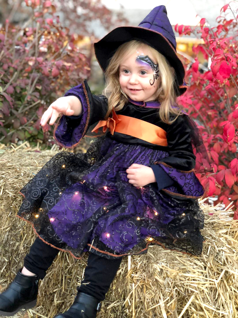 toddler girl witch costume