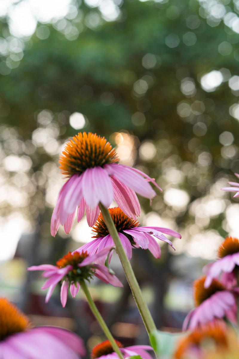 most beautiful places in Utah