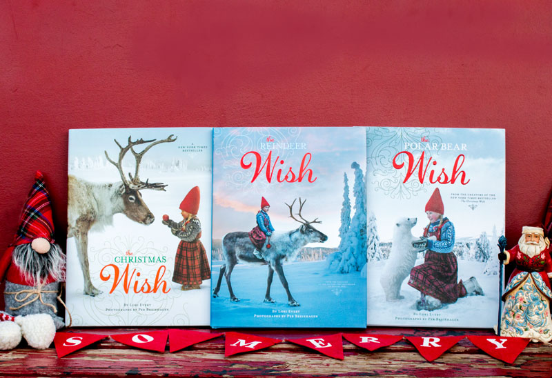 A Christmas Wish book