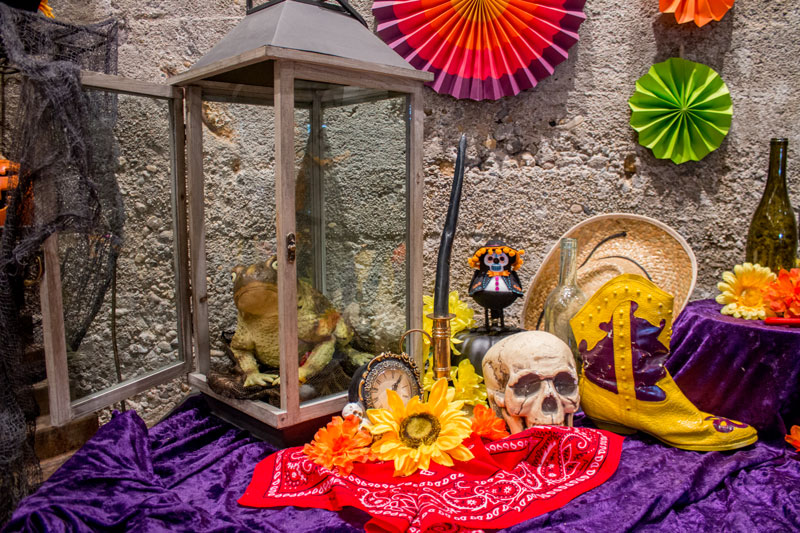 Clever halloween decorating ideas