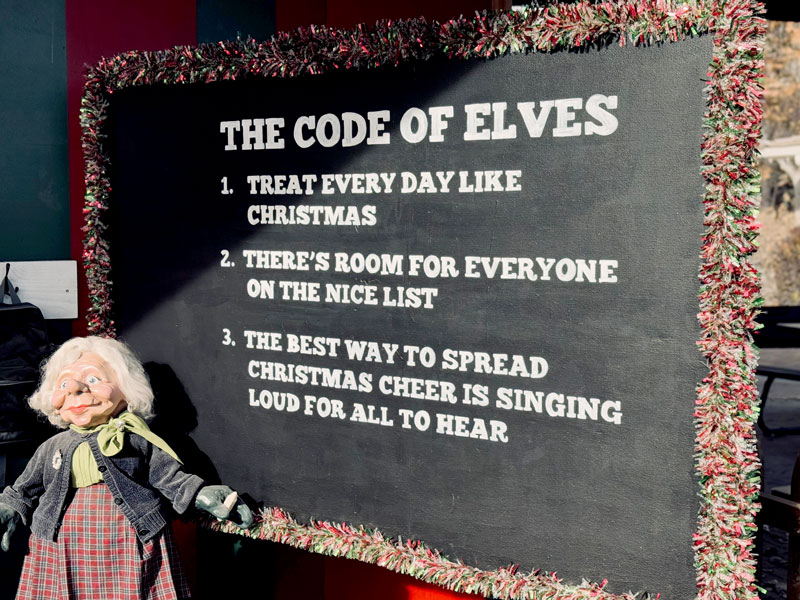 the elf code