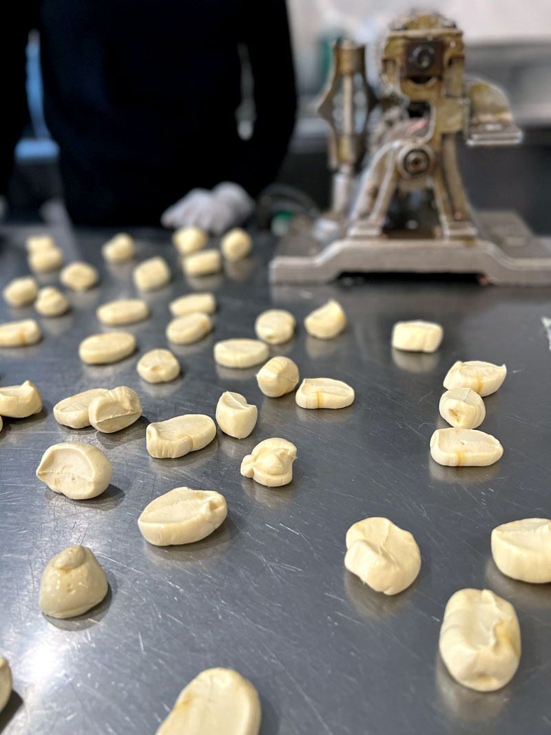 fun things to do with kids in Utah