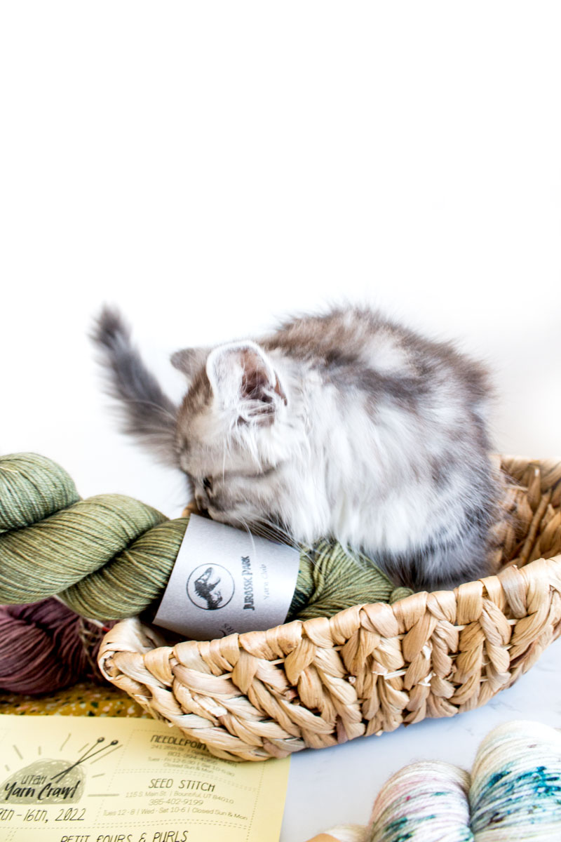 Best Yarn Shops in Utah