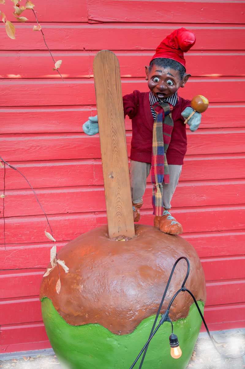 The Chocolate Covered Wagon