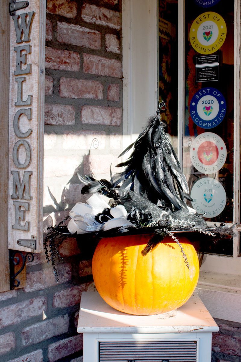 unique outdoor halloween decor