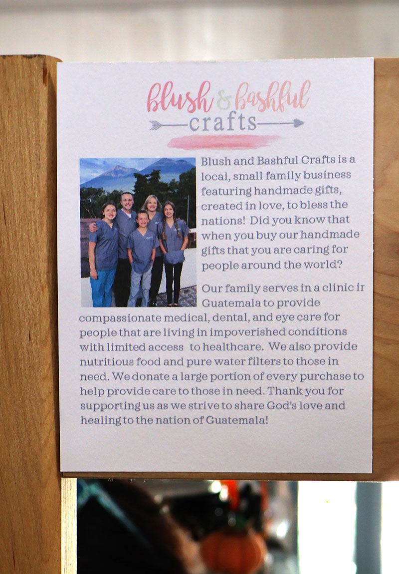 Blush and Bashful Crafts