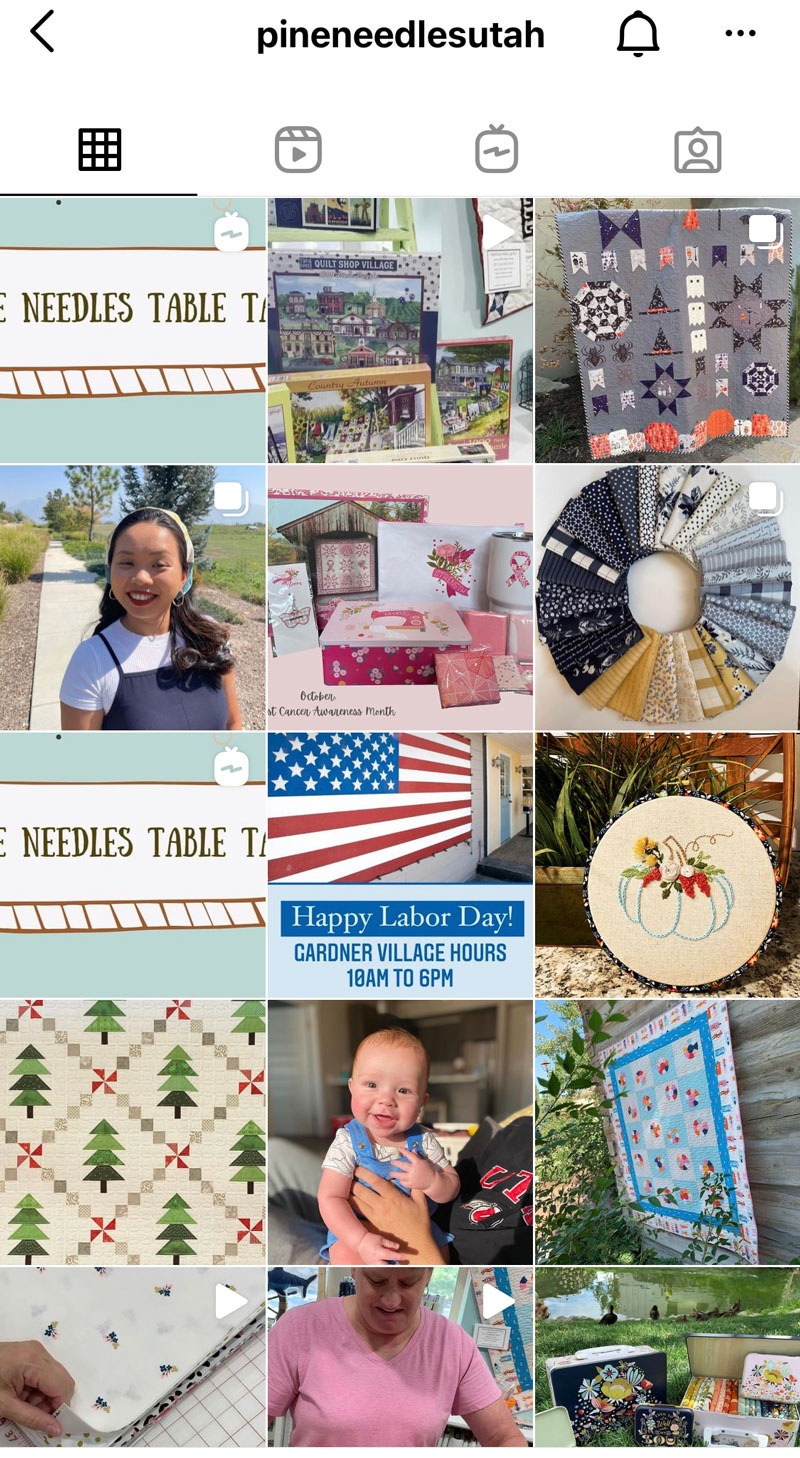 follow Pine Needles on Instagram