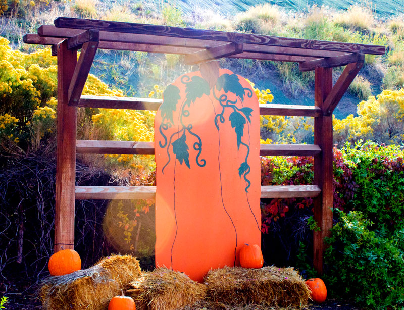 Fun fall photo backdrops in Utah