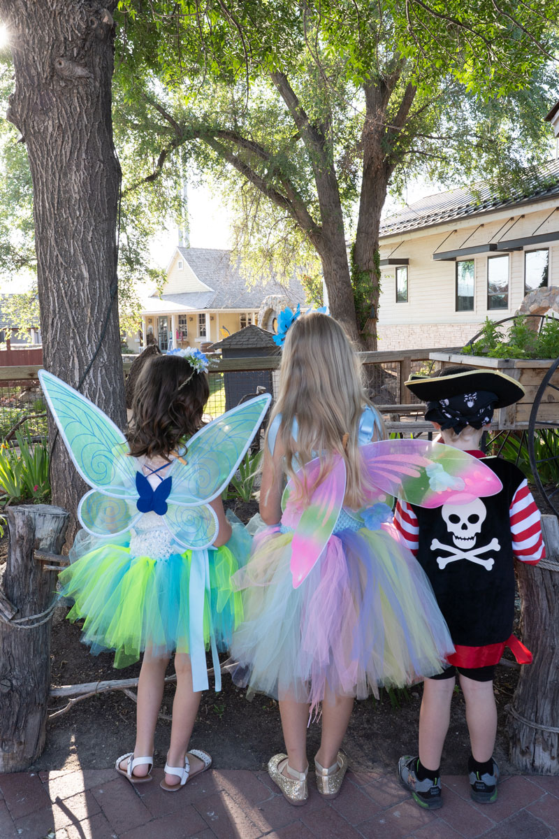 fairy garden display