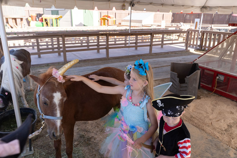 Little Buckaroos Petting Zoo