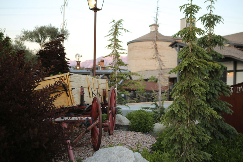 fun ways to celebrate Pioneer Day