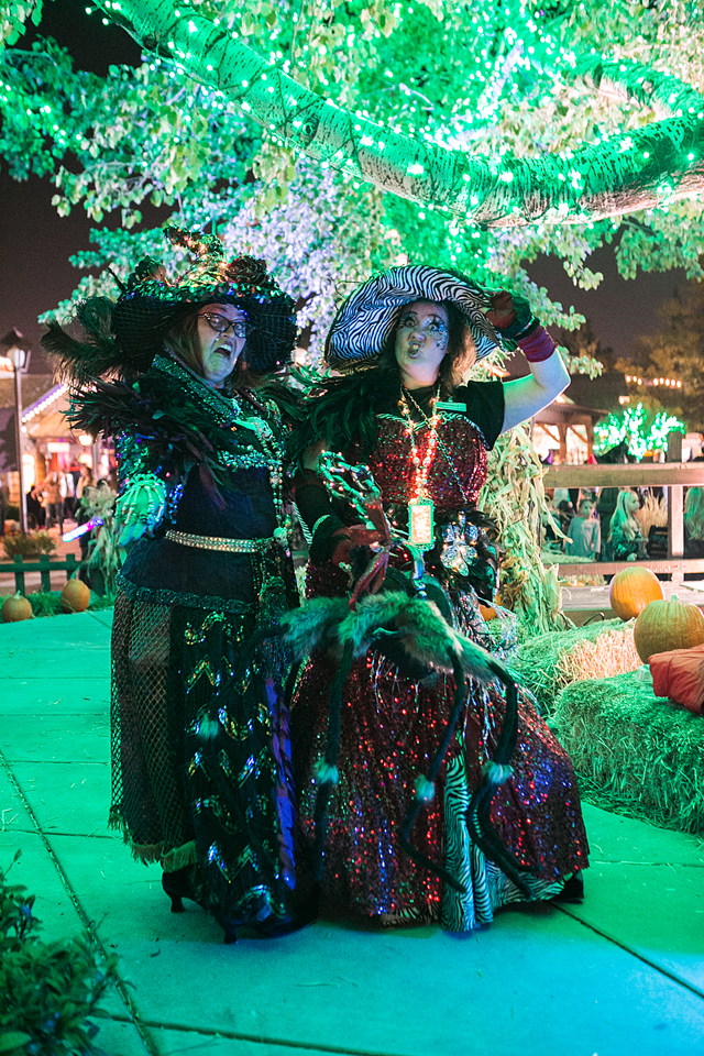 ladies night out in salt lake area