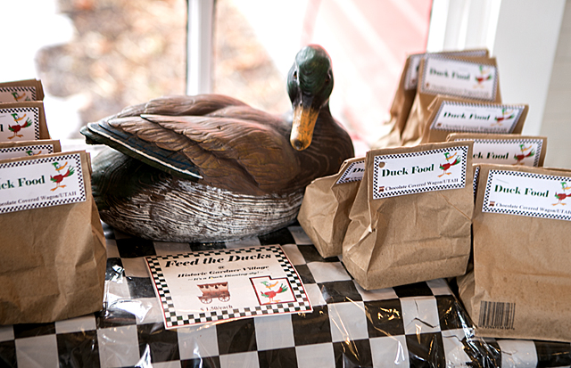 where to feed the ducks in utah