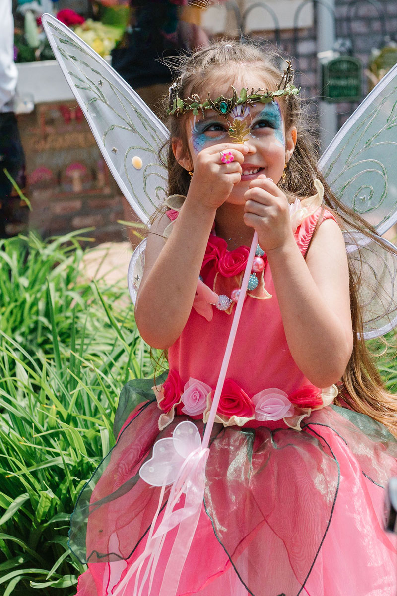 Woodland Fairy Festival