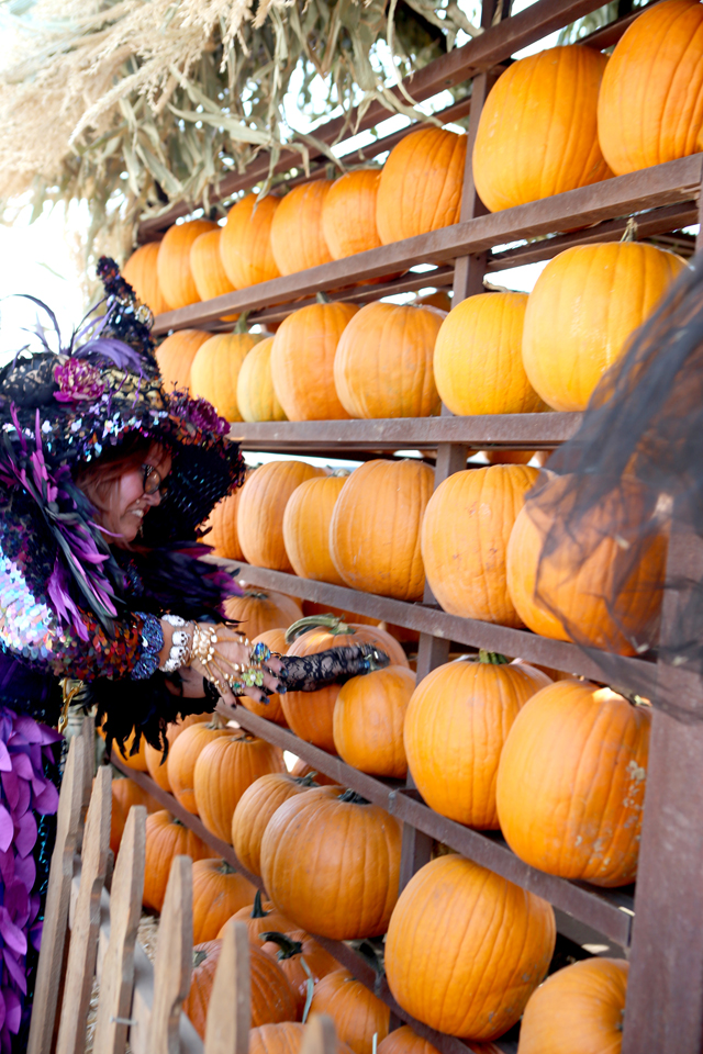 witch house at gardner village